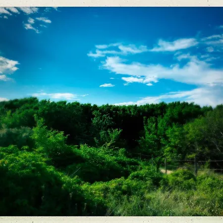 Maison Face Au Soleil 3* Le Bois-Plage-en-Ré