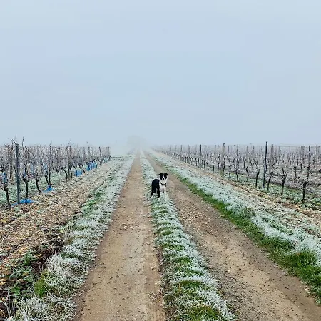Maison Face Au Soleil