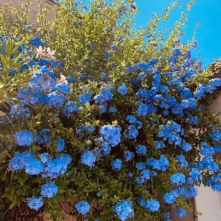 Maison Face Au Soleil