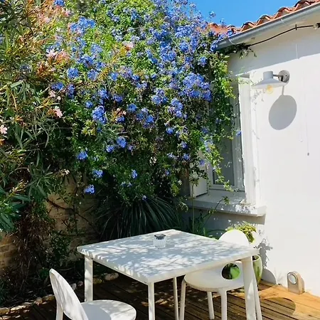 Alojamento de Acomodação e Pequeno-almoço Maison Face Au Soleil Le Bois-Plage-en-Ré