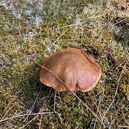 Maison Face Au Soleil 3* Le Bois-Plage-en-Ré