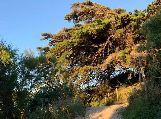 Bed and breakfast Maison Face Au Soleil