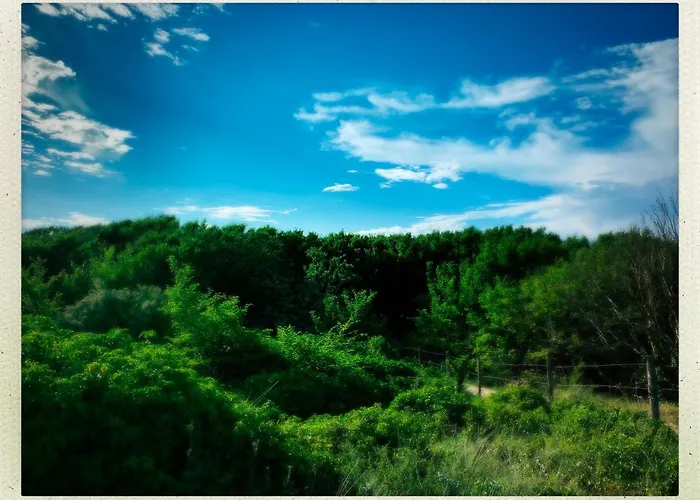 Maison Face Au Soleil 3* Le Bois-Plage-en-Ré