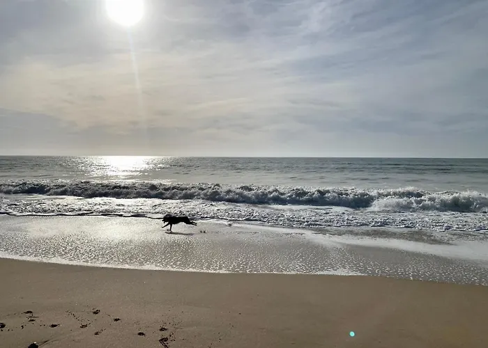 Maison Face Au Soleil 3*