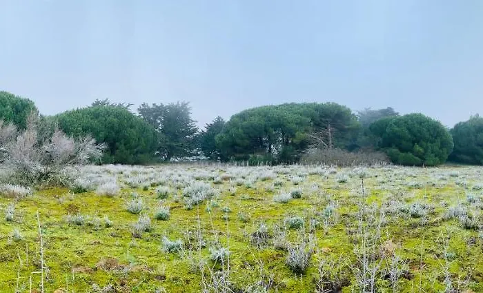 Maison Face Au Soleil 3* Le Bois-Plage-en-Ré