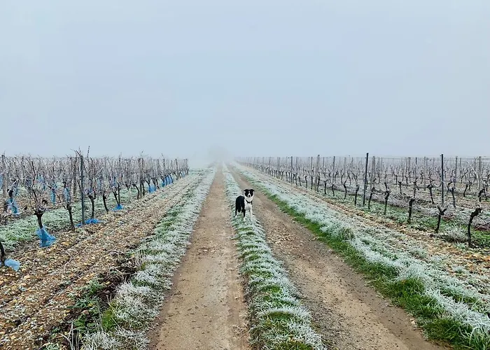Maison Face Au Soleil