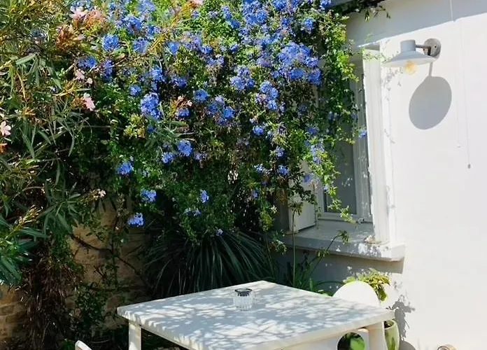 Bed and breakfast Maison Face Au Soleil Le Bois-Plage-en-Ré